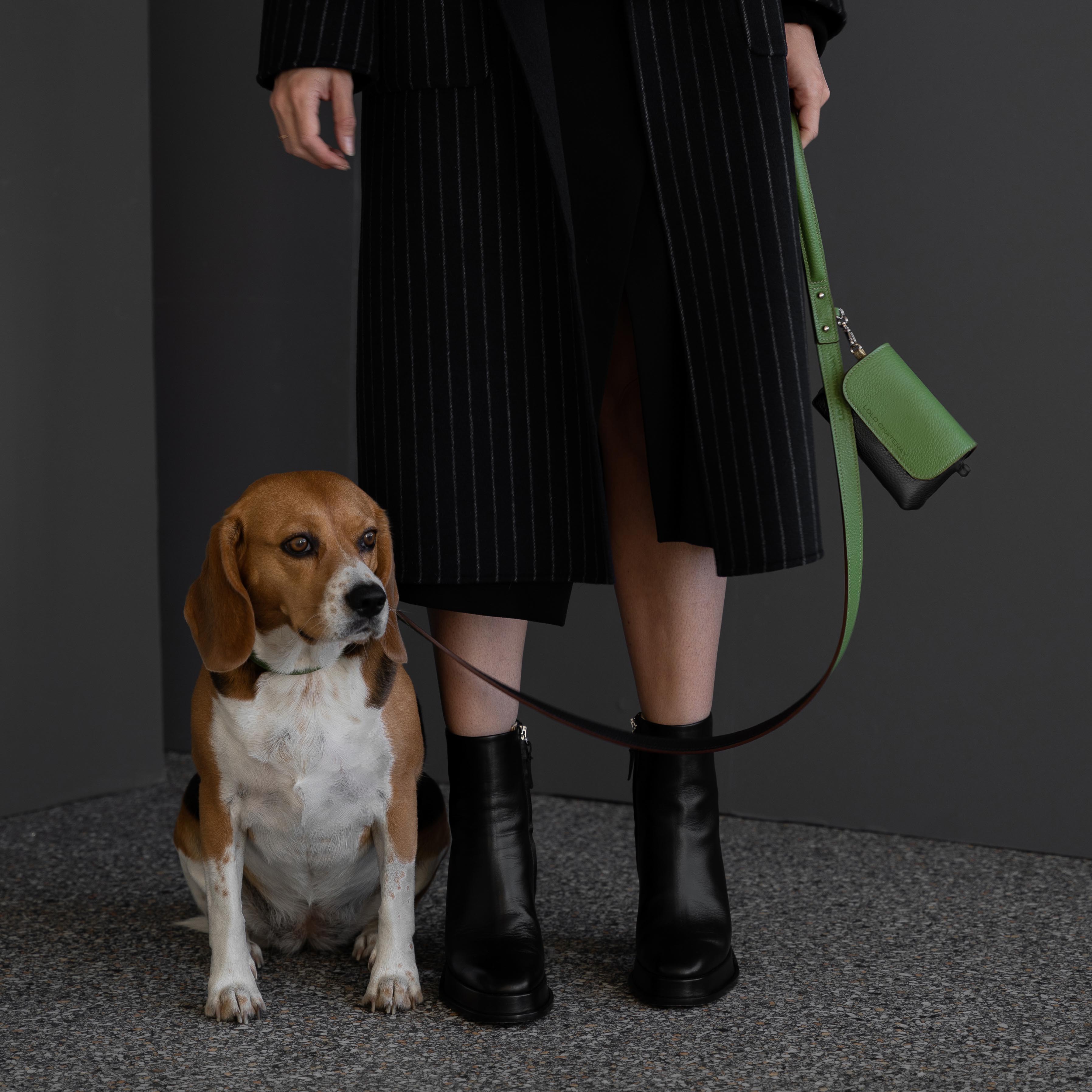 Lolo Toutou Leash, Collar and Micro Bag
