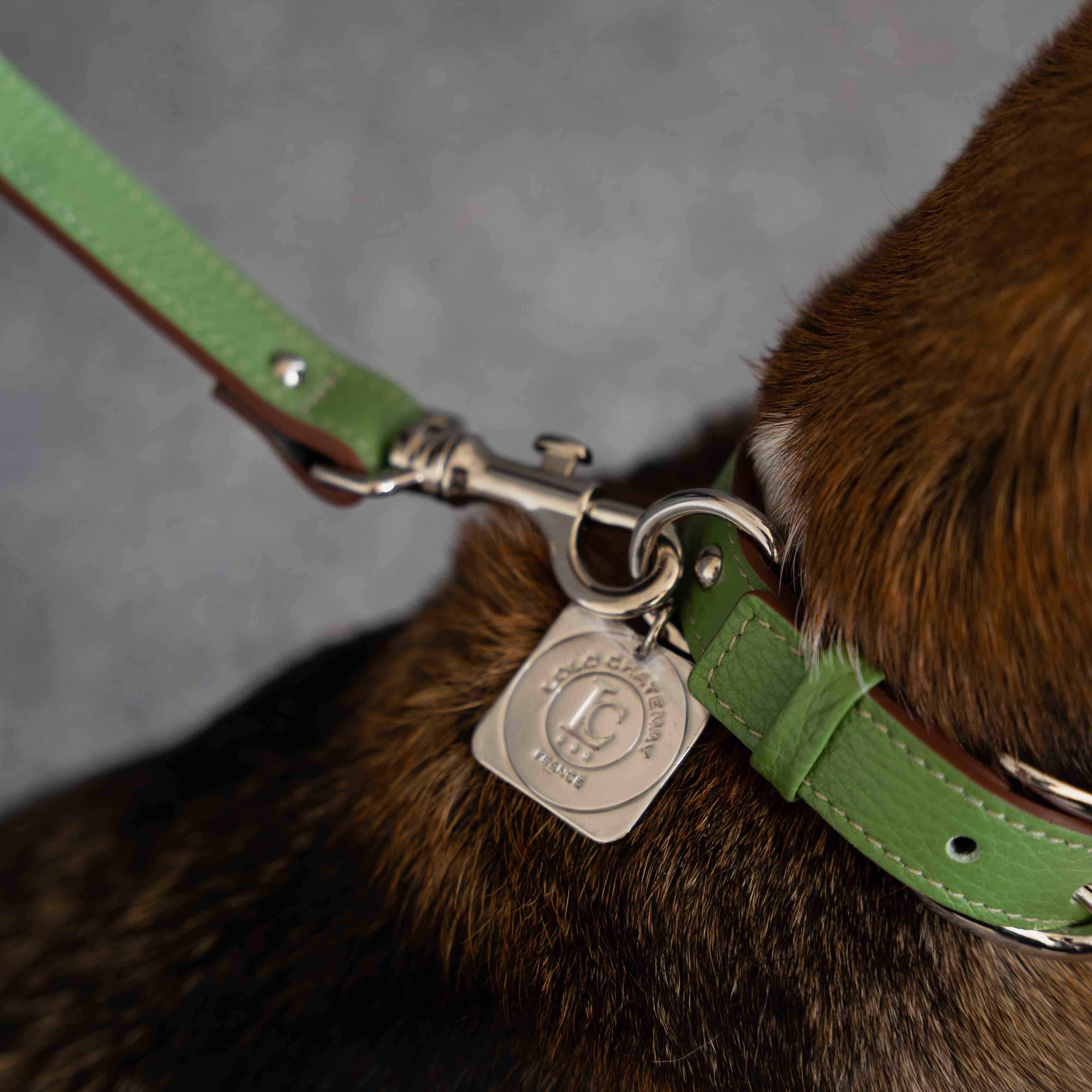 Lolo Toutou Leash, Collar and Micro Bag