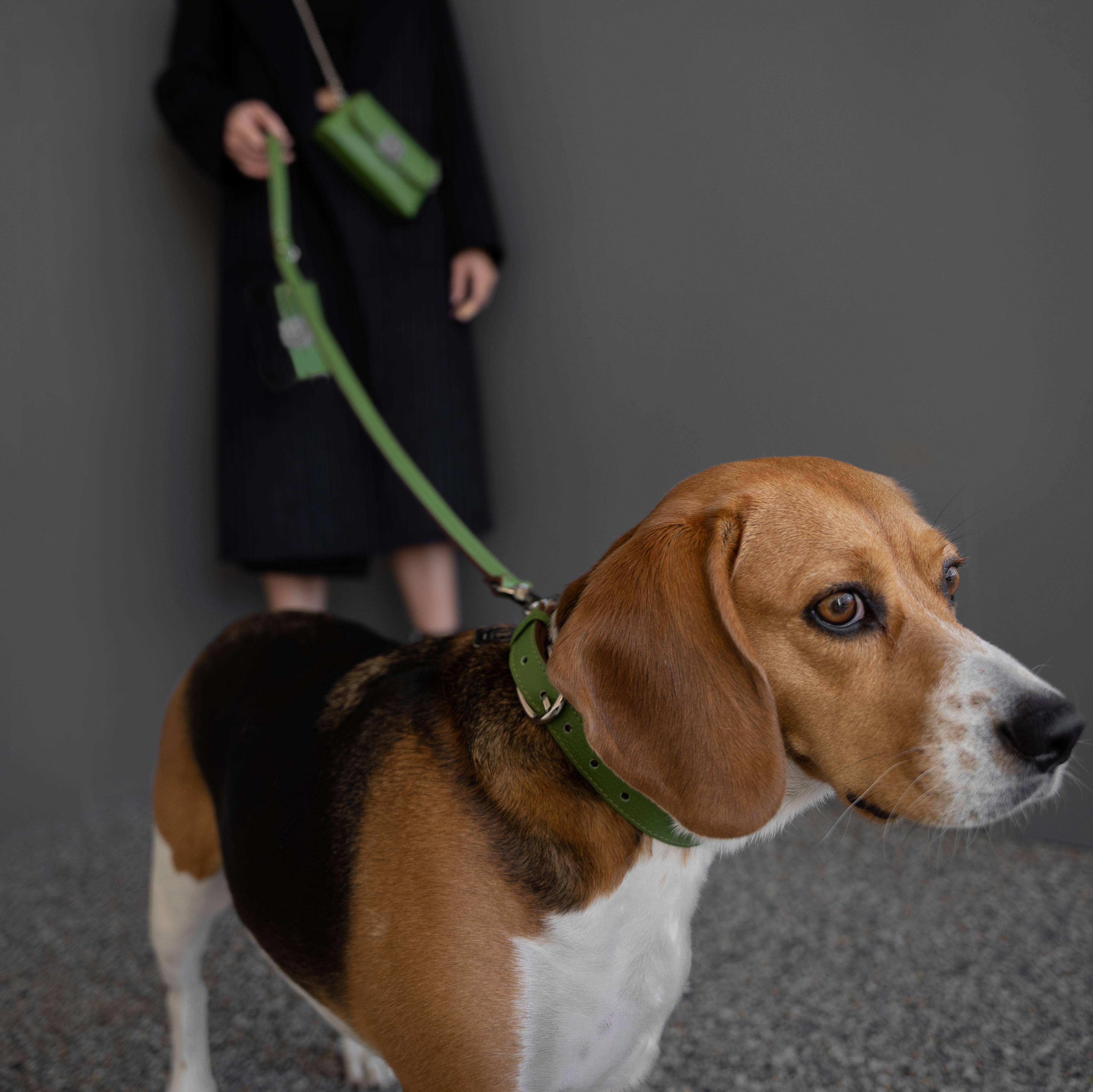 Lolo Toutou Leash, Collar and Micro Bag