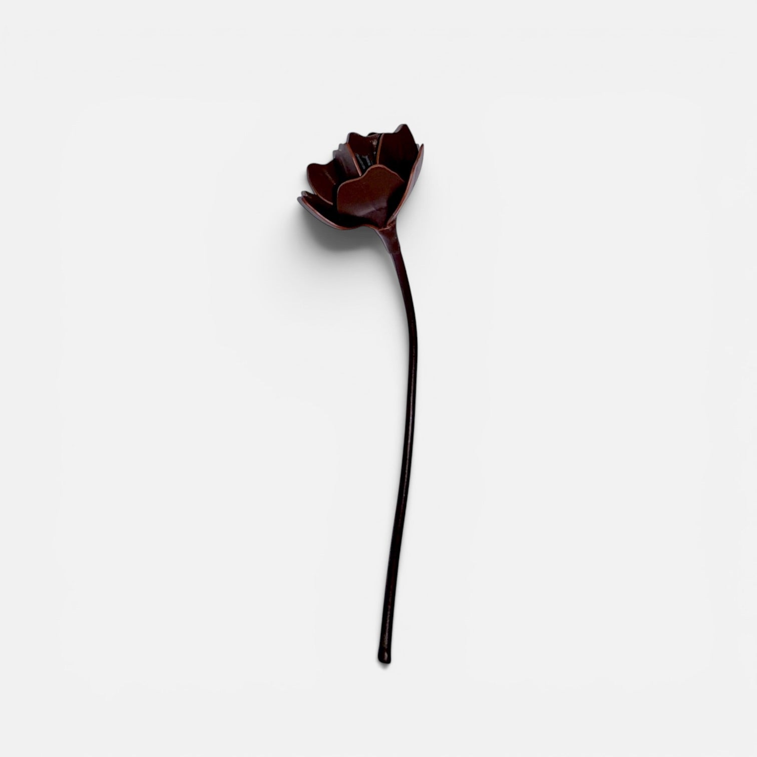 FLEUR ANEMONE