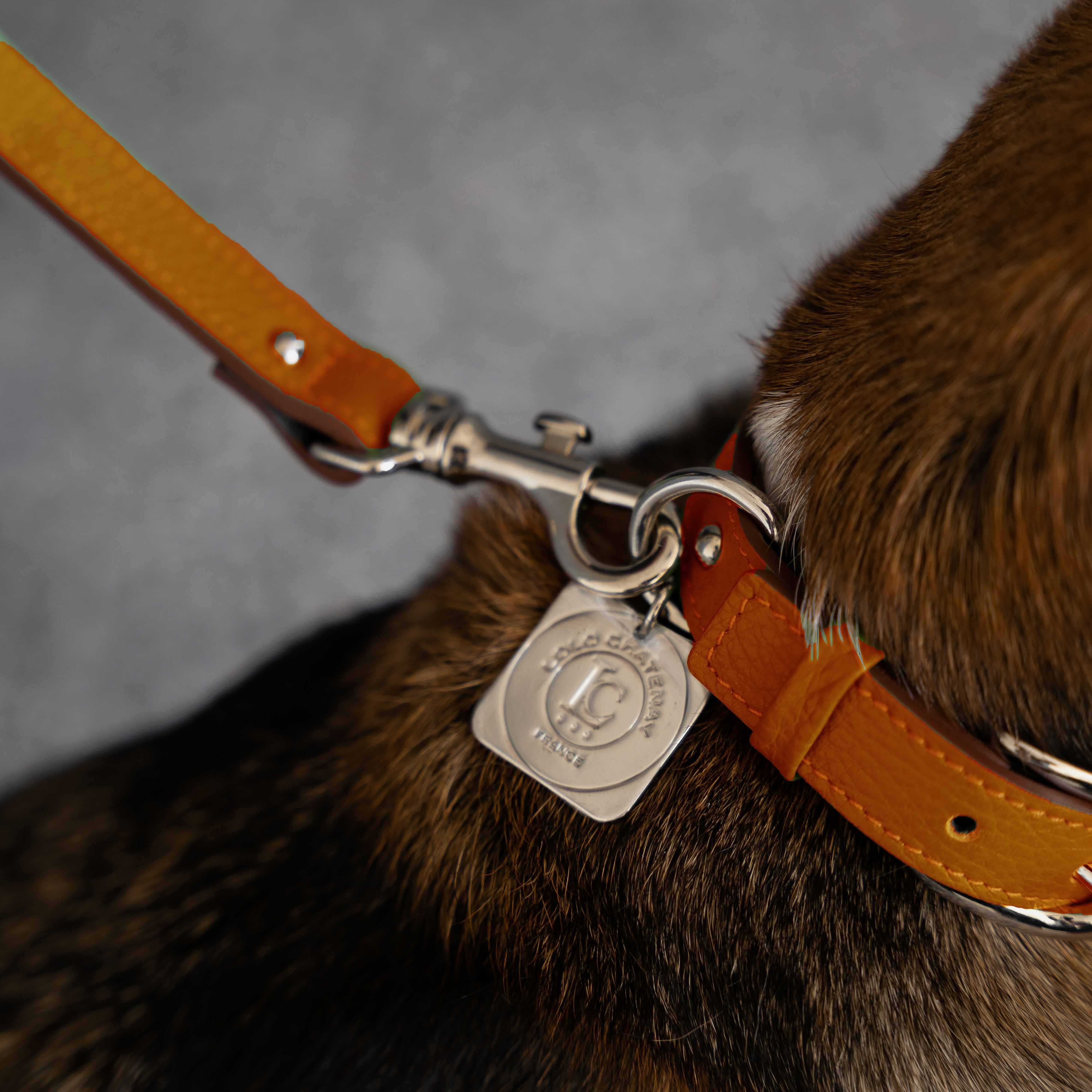 Lolo Dog Collar