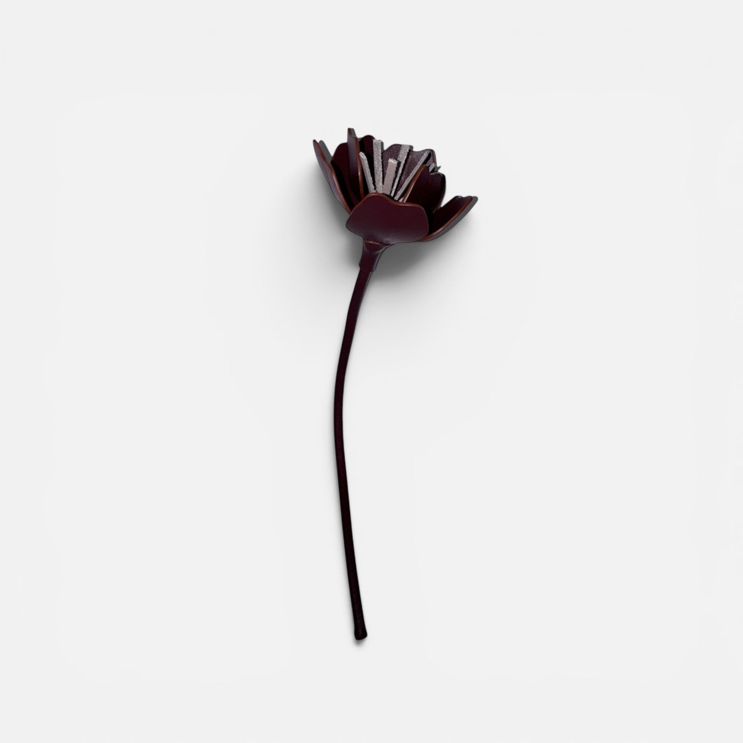 FLEUR ANEMONE