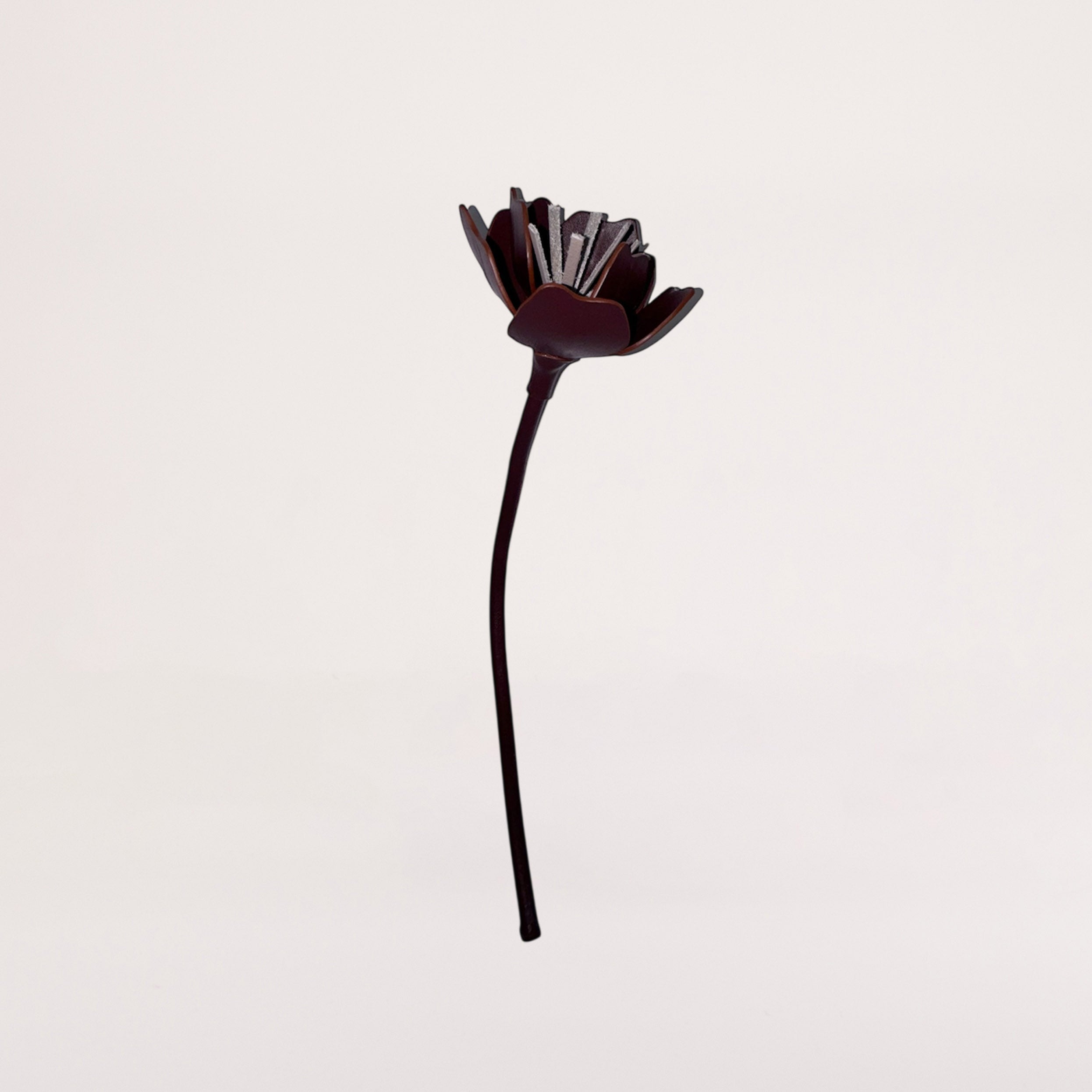 FLEUR ANEMONE
