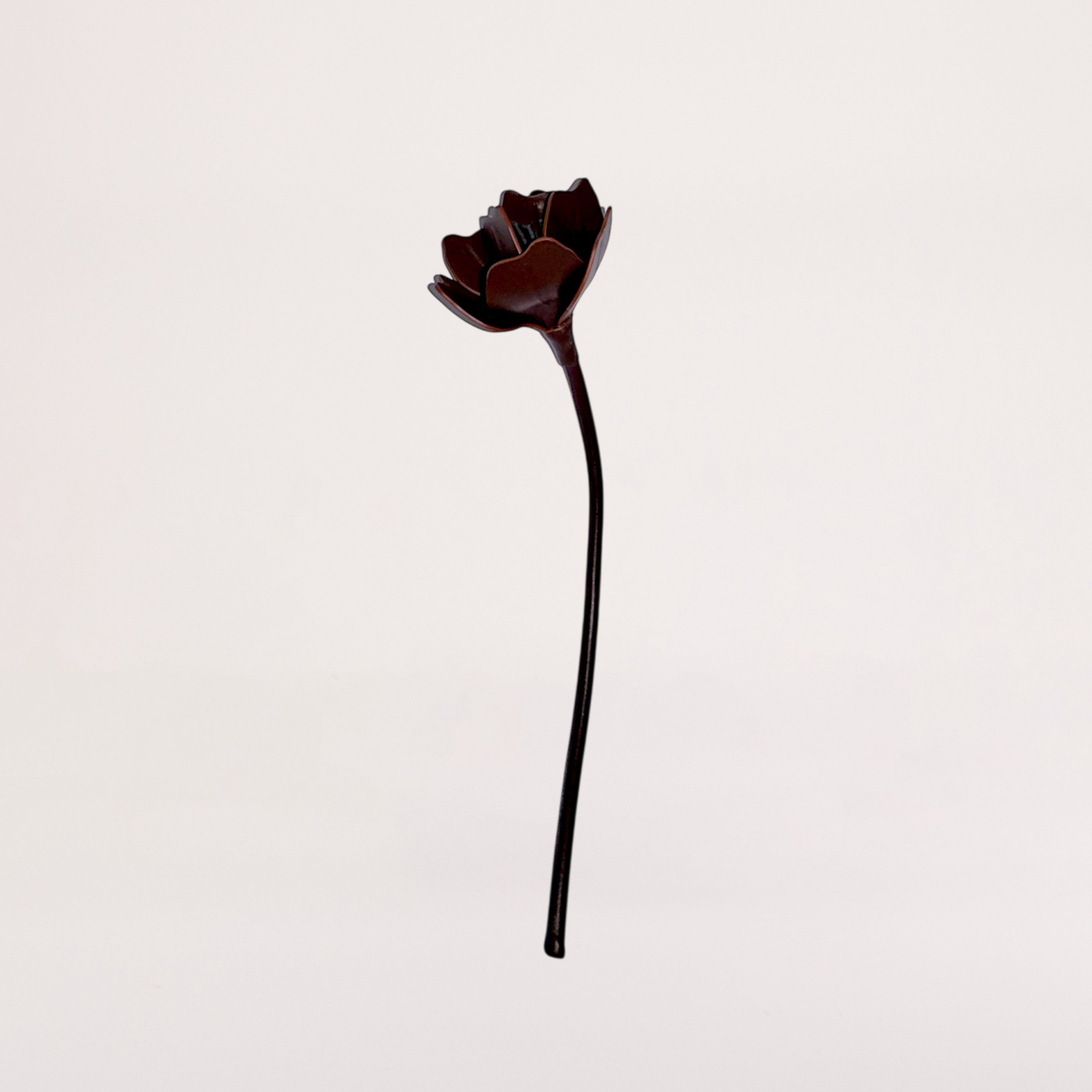 FLEUR ANEMONE