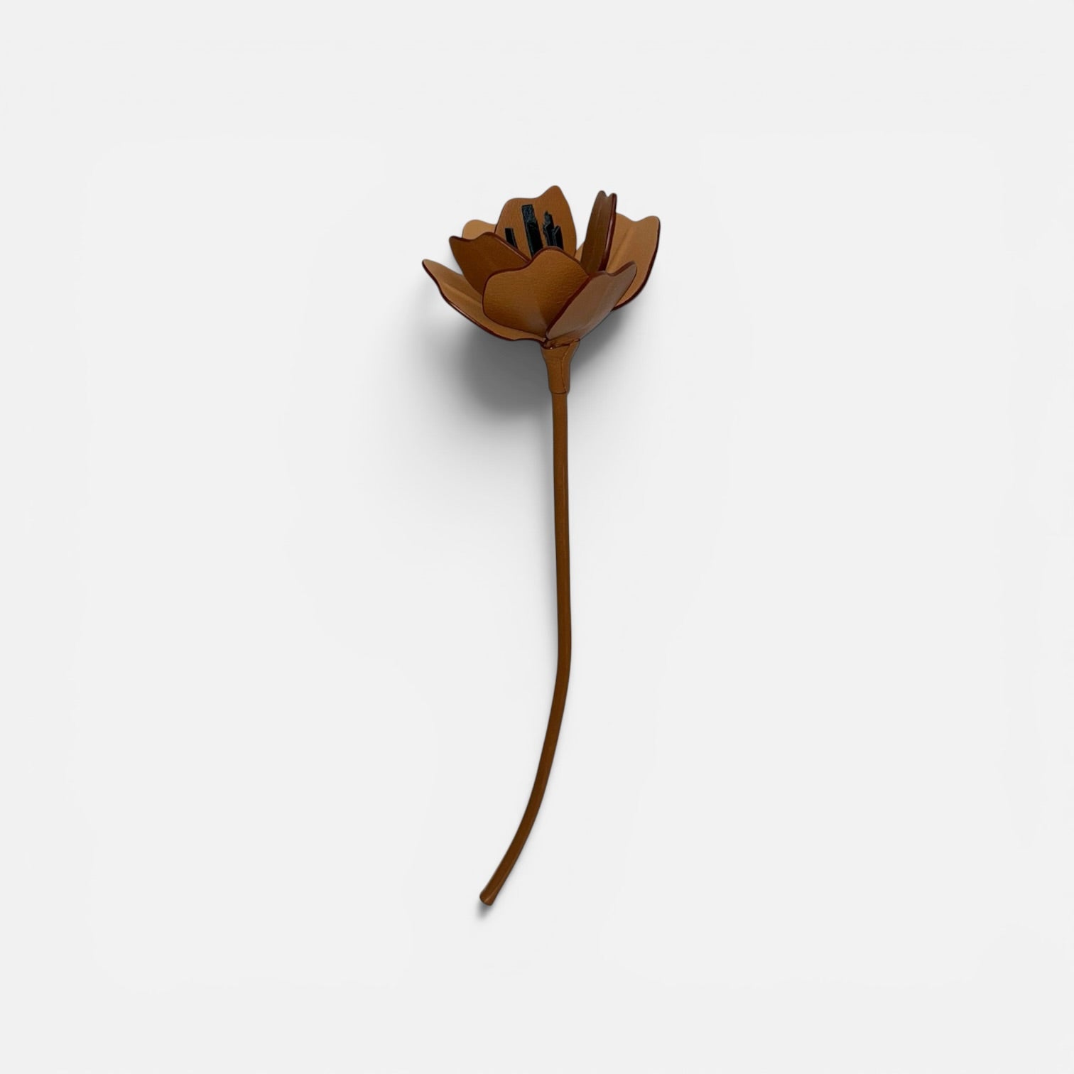 ANEMONE BLUME