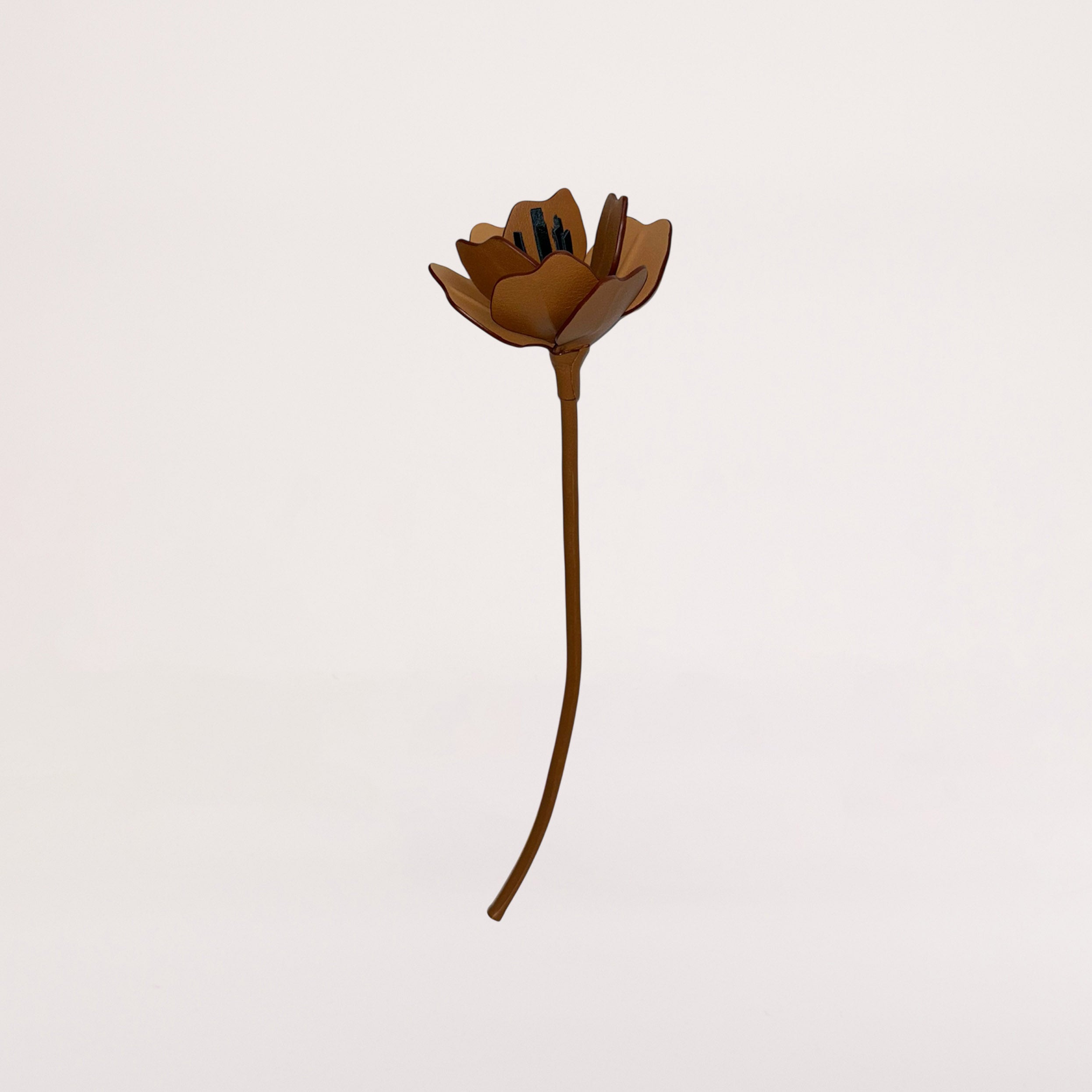 FLEUR ANEMONE