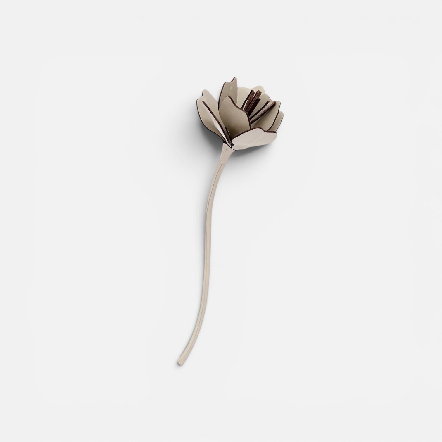 FLEUR ANEMONE