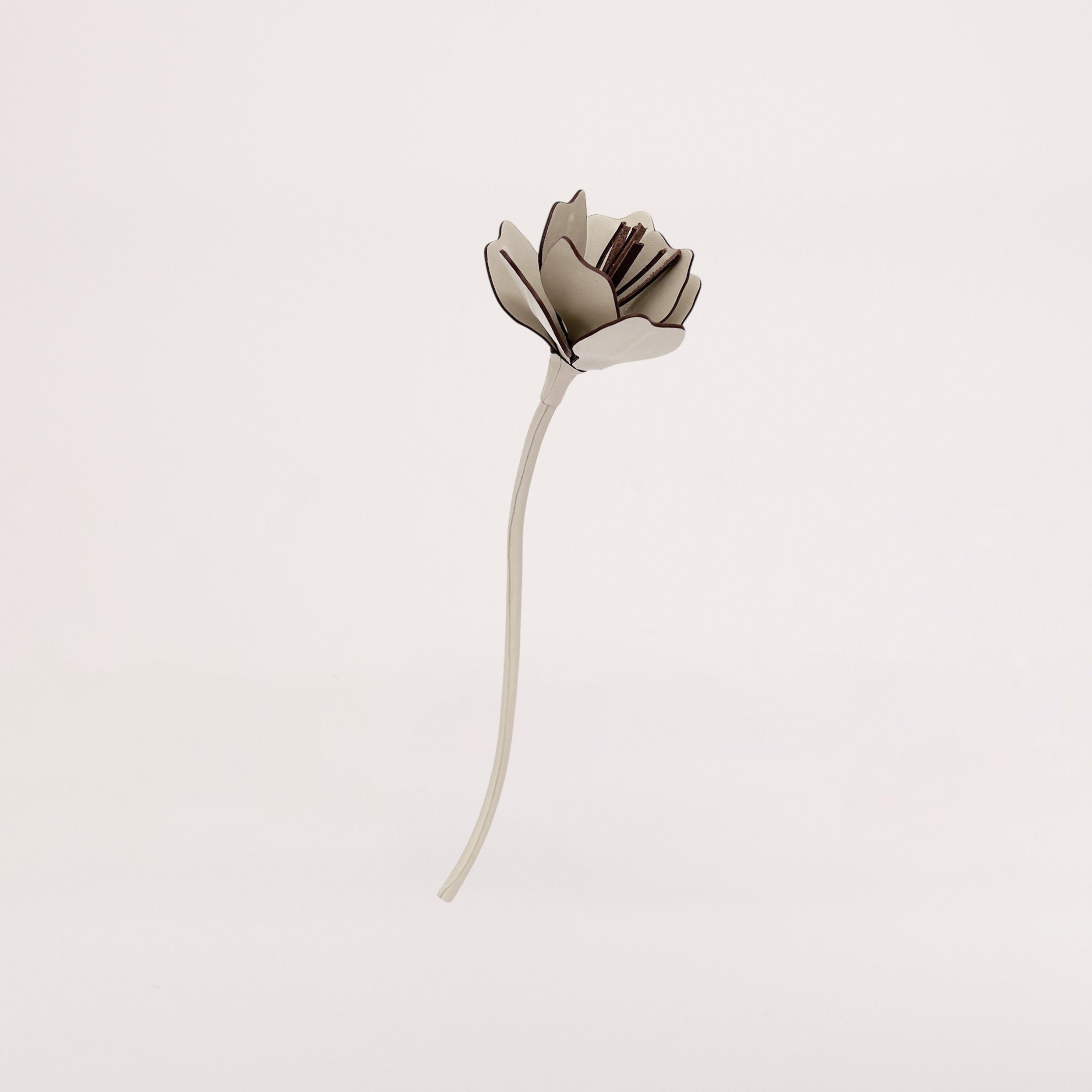 FLEUR ANEMONE