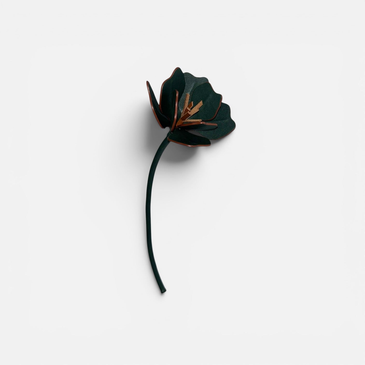 FLEUR ANEMONE