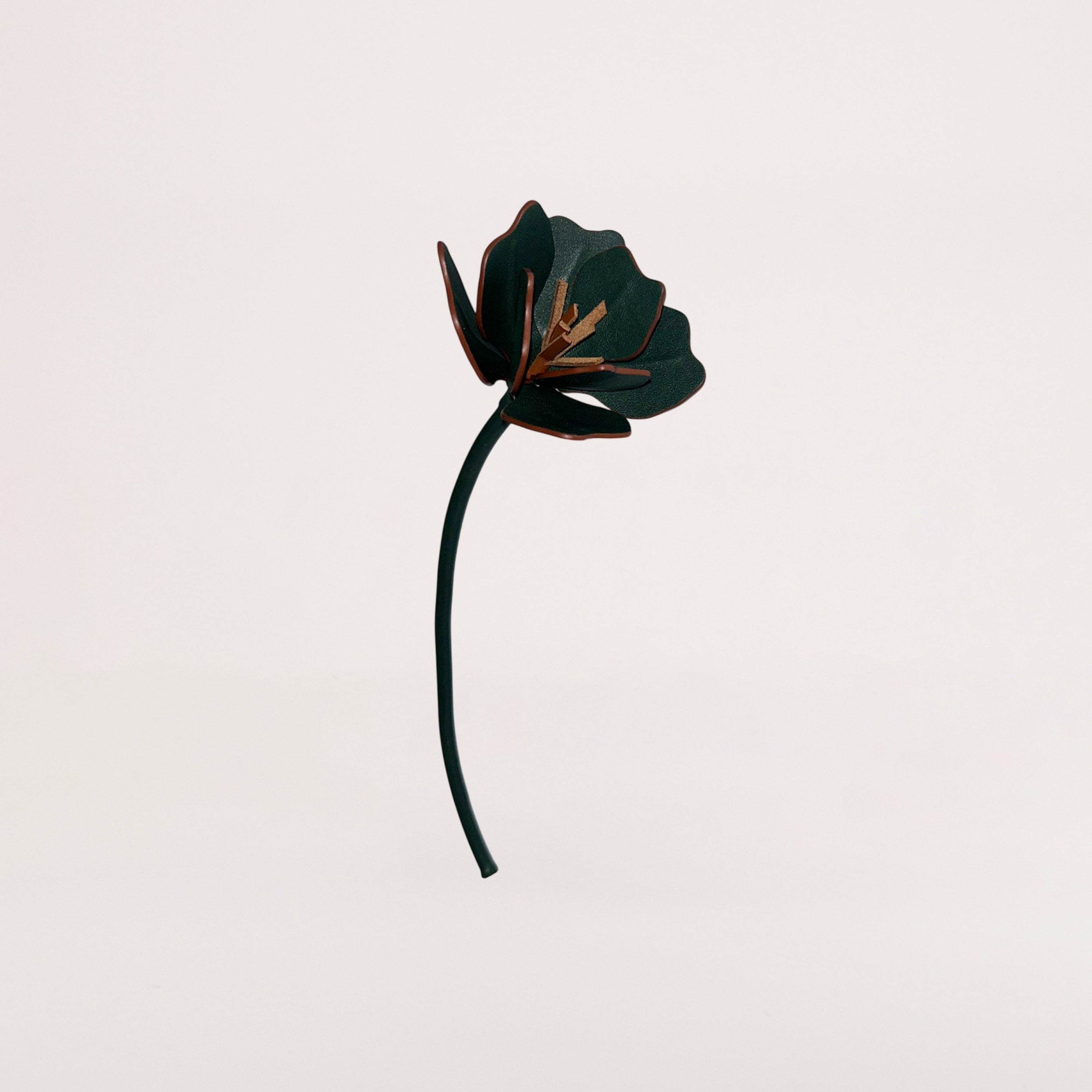 FLEUR ANEMONE